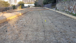 Wells Fargo in Flower Mound (1)