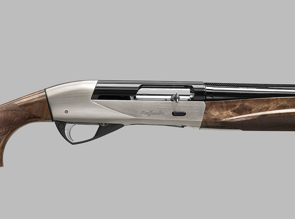 Thumbnail: BENELLI Raffaello