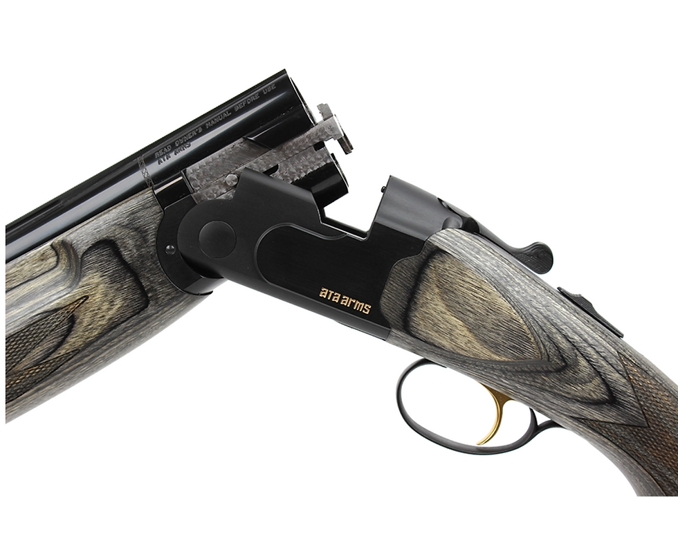 Thumbnail: ATA SP LAMINATED 12/76