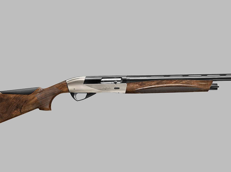 Thumbnail: BENELLI Raffaello