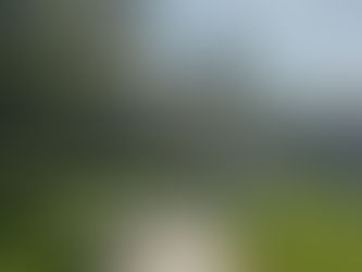 Guía de salud Majadahonda