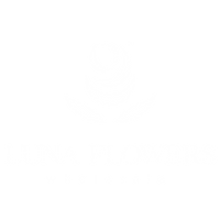 white luna logo nbg.png