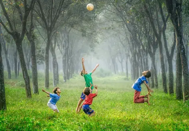 Niños jugando con una pelota en un bosque