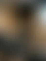 Una ponente habla ante familias en un auditorio durante una presentación sobre aumento de colegiaturas.