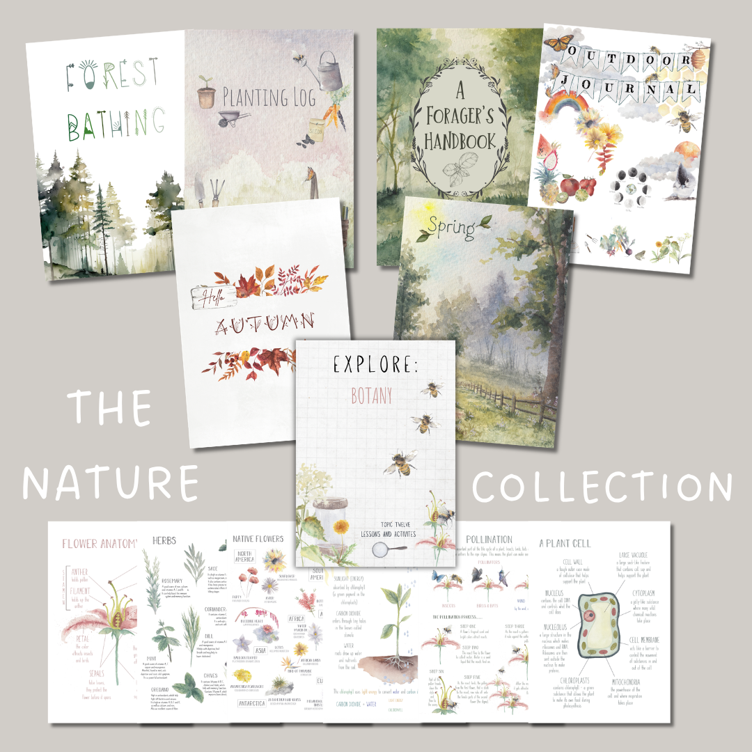 The Nature Collection | Nature Study