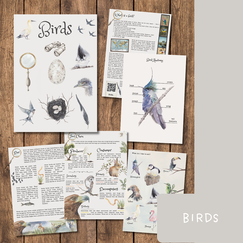 Thumbnail: The Animals Collection | Animal Study