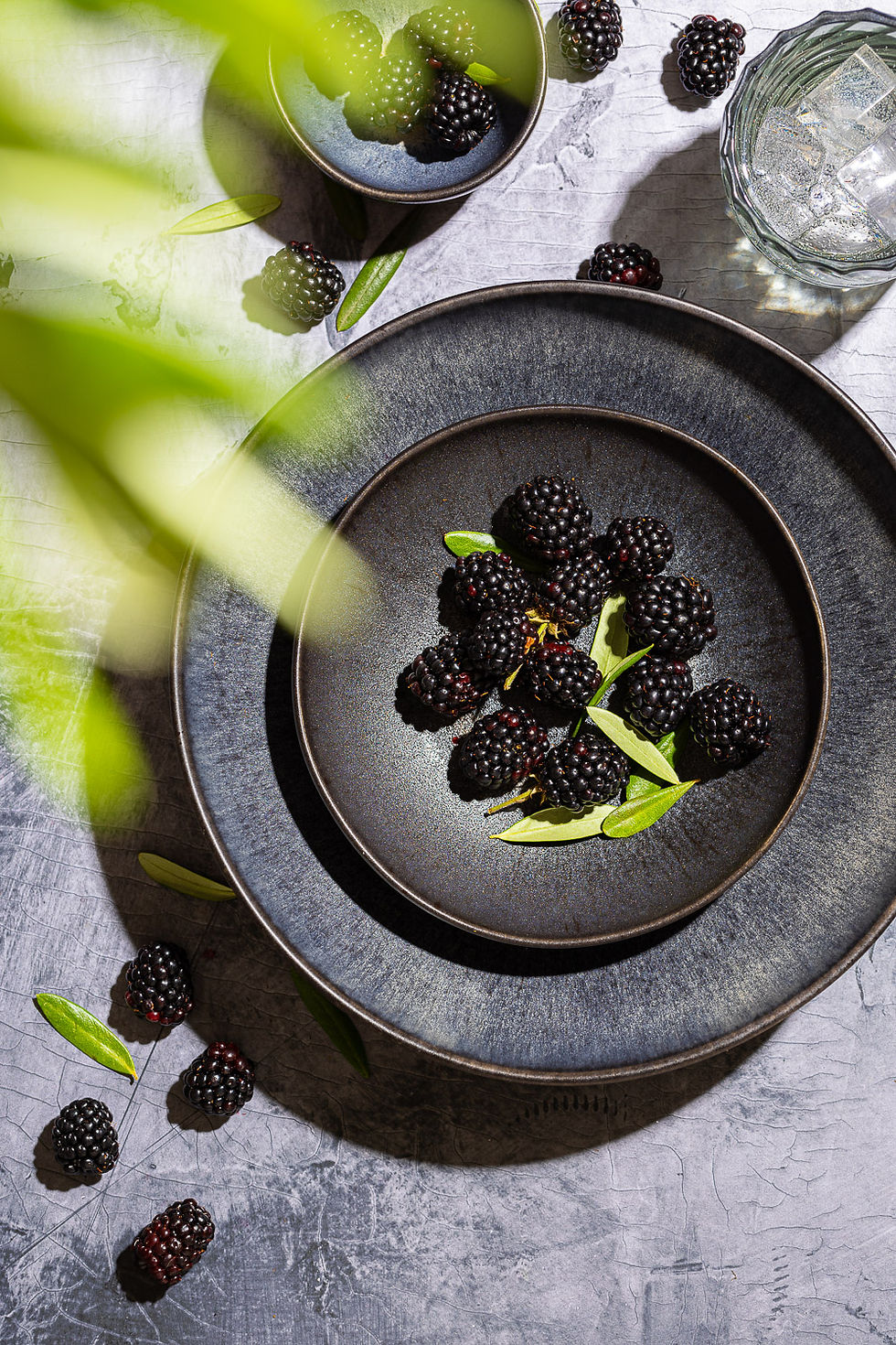 Bild einer professionellen Zusammenarbeit mit einer Foodfotografin: Teller aus dunkler Handkeramik mit perfekt arrangierten Brombeeren
