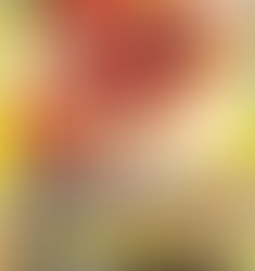 BT17 - Secret Crisis: ShineGreymon