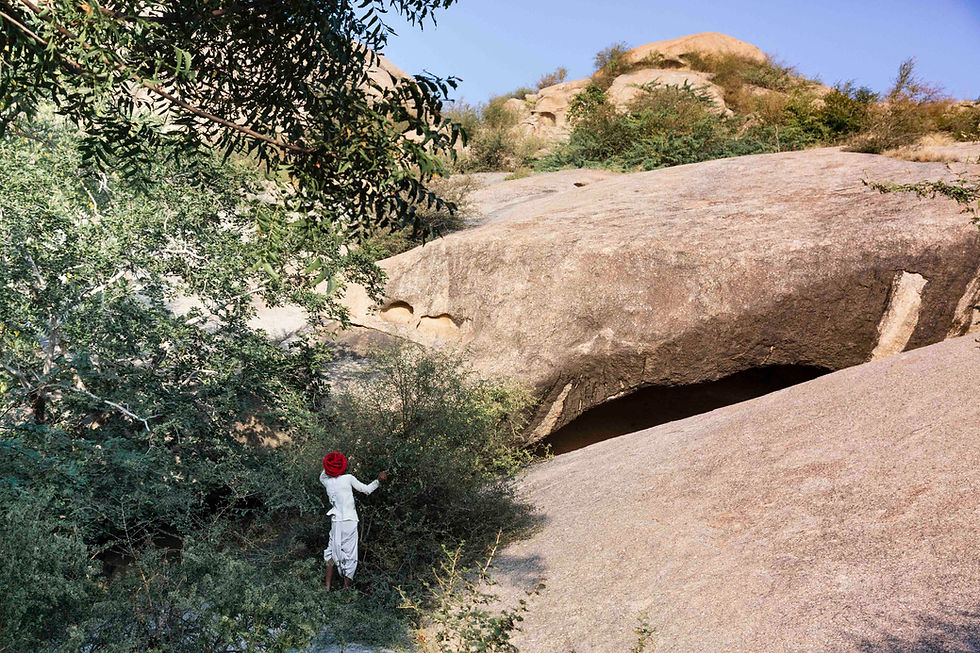 002_Rabari_ramasser des branches_Isabelle COULON.jpg