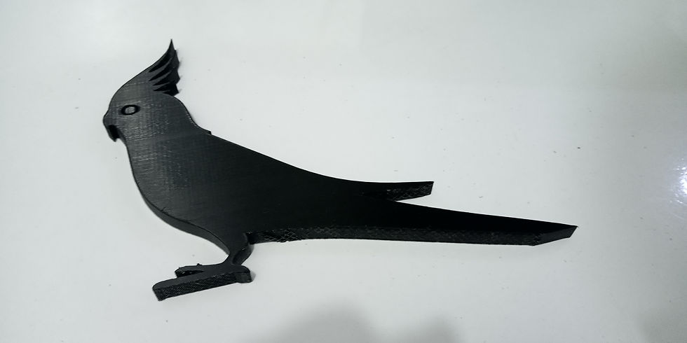 Küçük resim: Kuş modeli