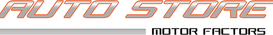 auto store logo n21 winchmore hill enfield