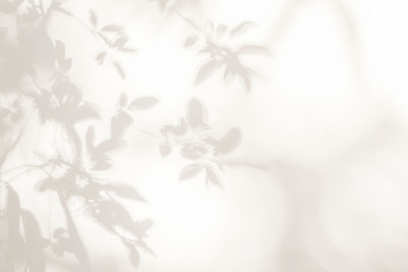 Leaves Shadow _edited.jpg
