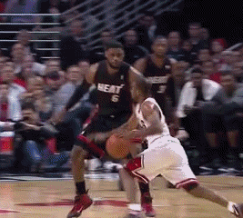 giphy.gif