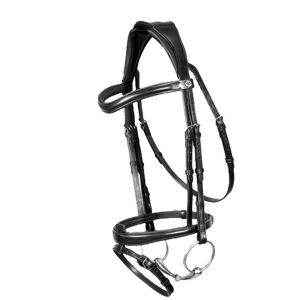 Thumbnail: Henry James Comfort Flash Bridle (Black or Brown)