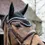Thumbnail: Kentucky Fly Veil Basic Velvet