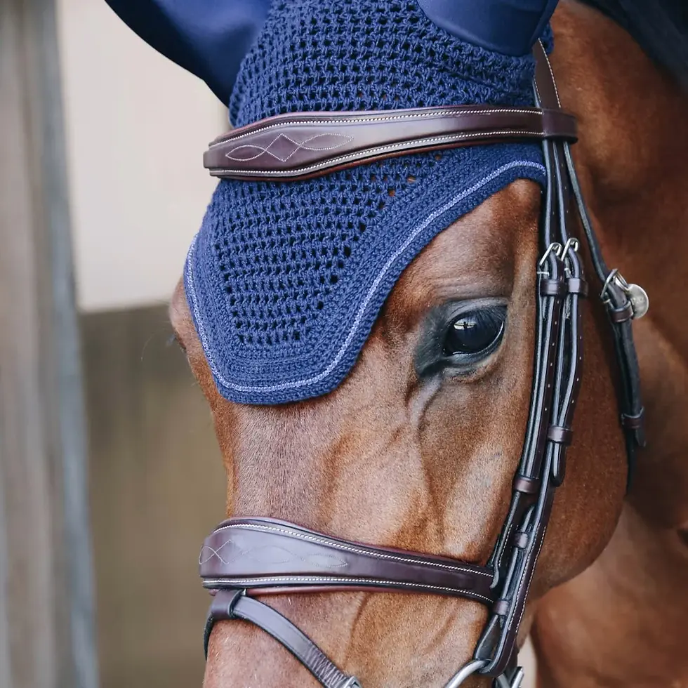 Kentucky Sparkling Soundless Fly Veil