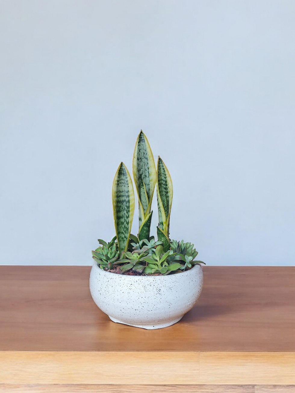 Esencias del Jardín