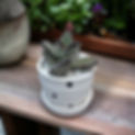 PhotoRoom_20240208_145053-1.jpg