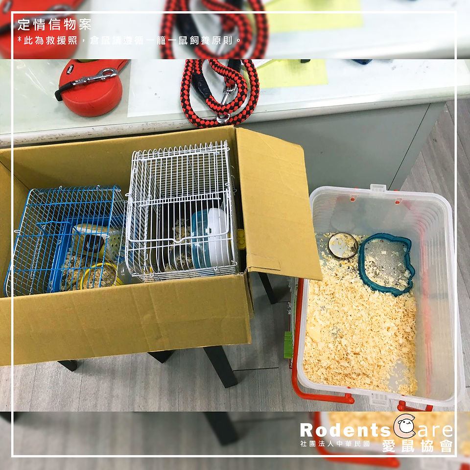 定情信物案