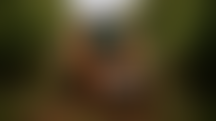 Forestry Mulching: Smarter Land Management