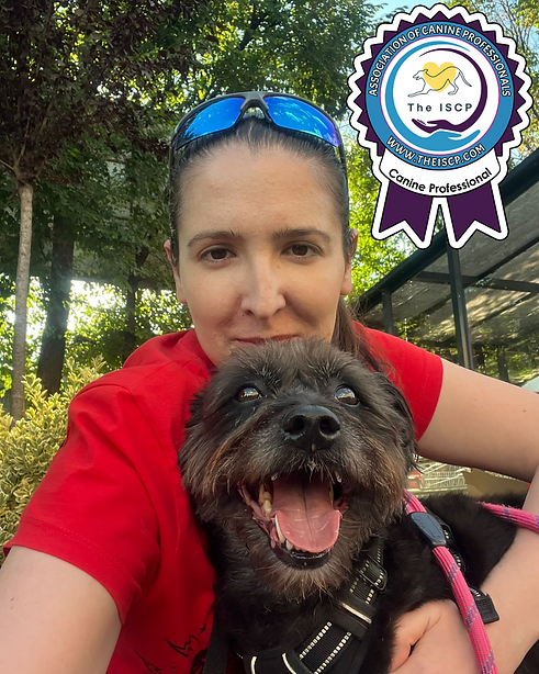 ADOPT THAT MONSTER (4).png