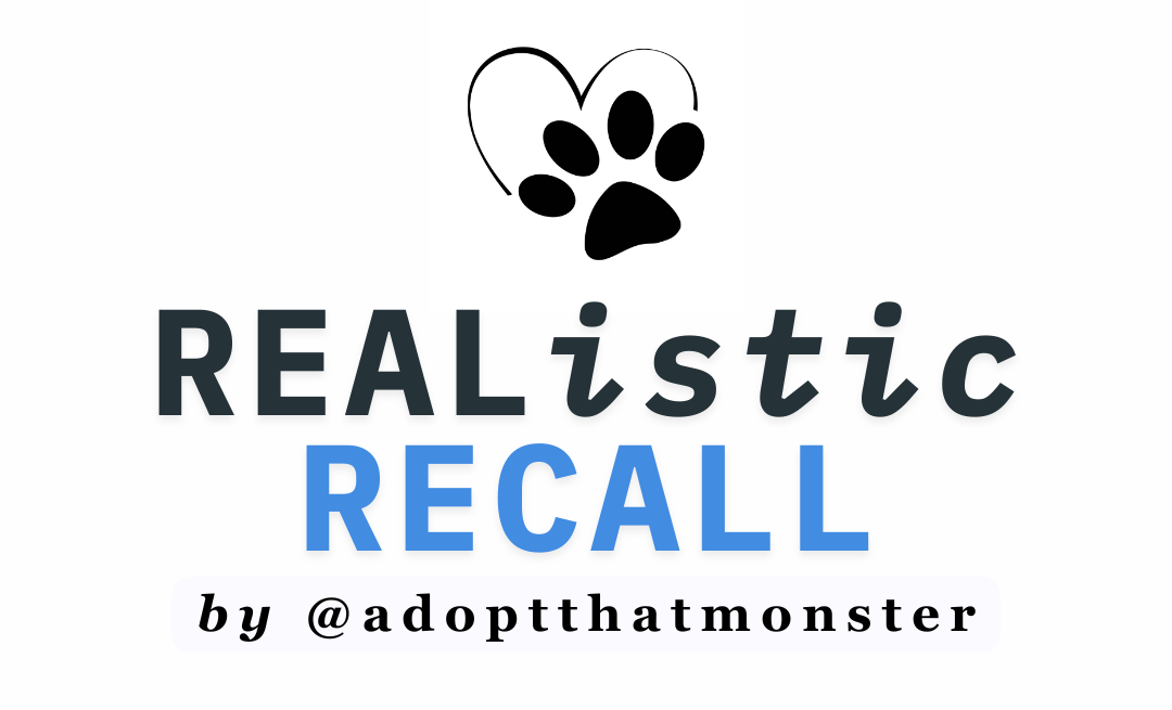 REAListic RECALL