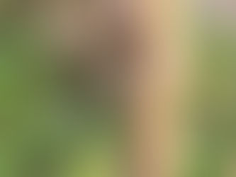 夏の疲れが残っていませんか?