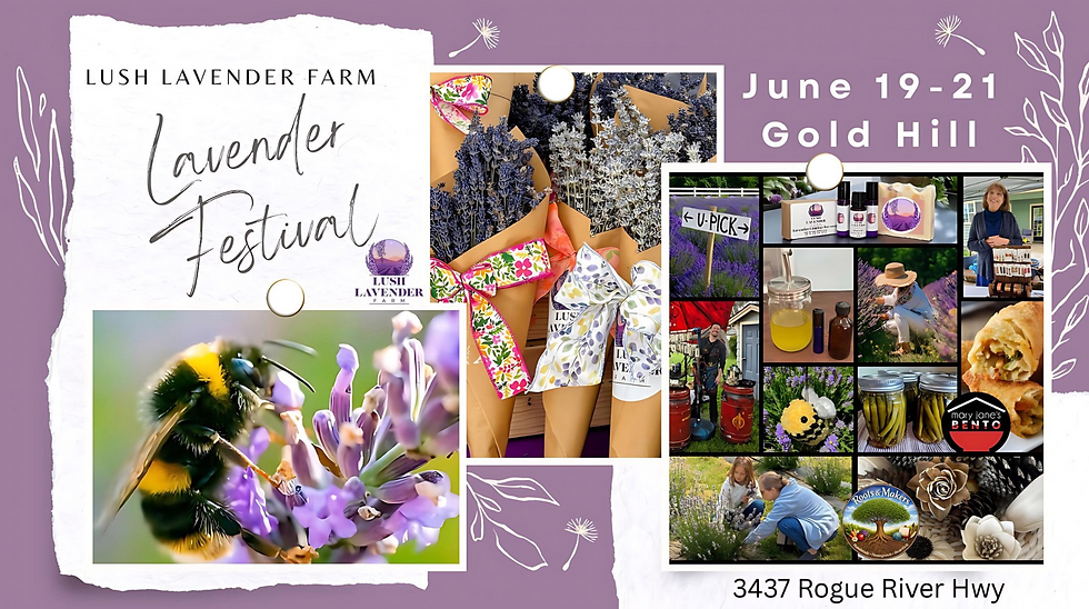 June Lavender Festival and Lush Lavender Farm