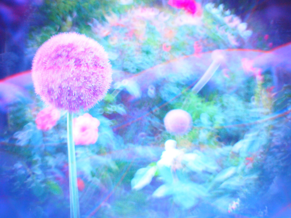 サムネイル： 宝石レンズ　illuminar 25mm f 1.4　アメジスト/ブラック　（マイクロフォーサーズ用/Cマウント）