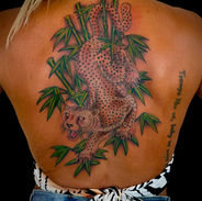 Cheetah and Bamboo by Chris Clemence