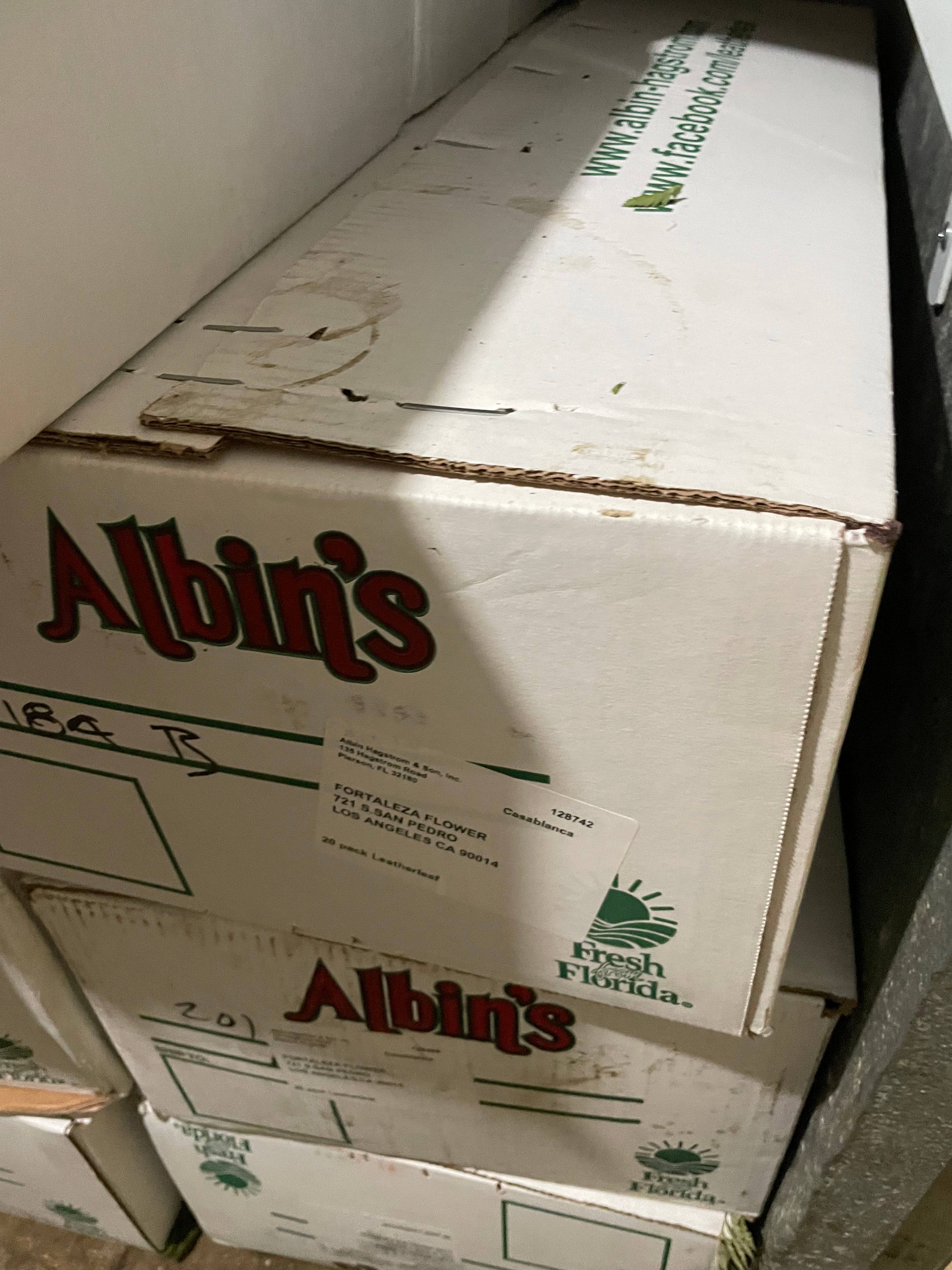 Albins leather leaf box