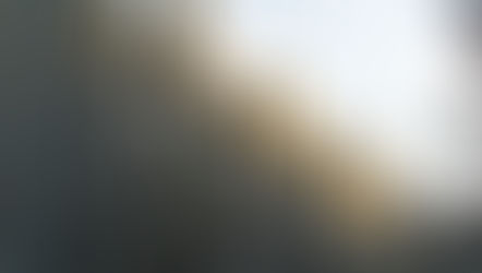 Voice of the Tenant Survey