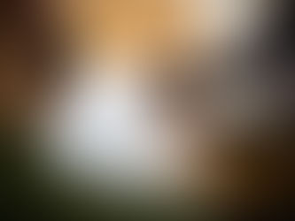 SafeDeposits Scotland Charitable Trust funds three new initiatives