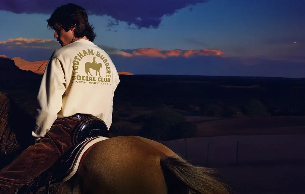 Gotham Burger Project Cover.webp