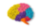 Neurociencias para profesionales: Una mirada al cerebro de niñas, niños y adolescentes.