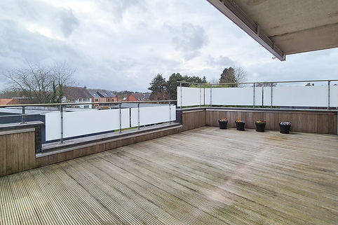 willow herfst klaar2 (4 van 42).jpg