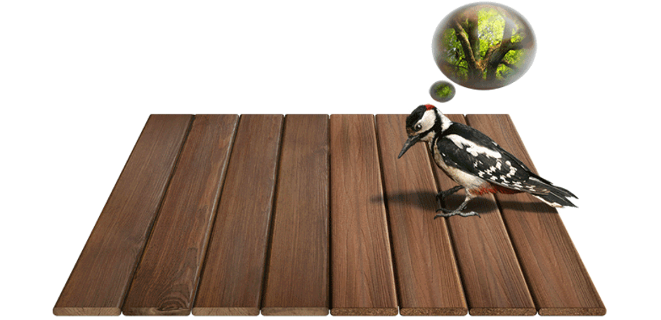 wood-vs-fiberon-like-wood.png