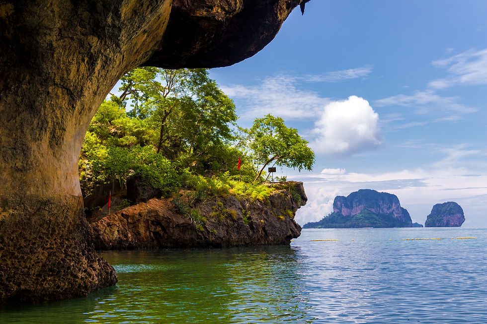 Thumbnail: RAILAY SUNSET + BIOLUMINESCENT PLANKTONS