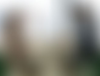 Como pedir feedbacks para melhorar suas relações e desempenho