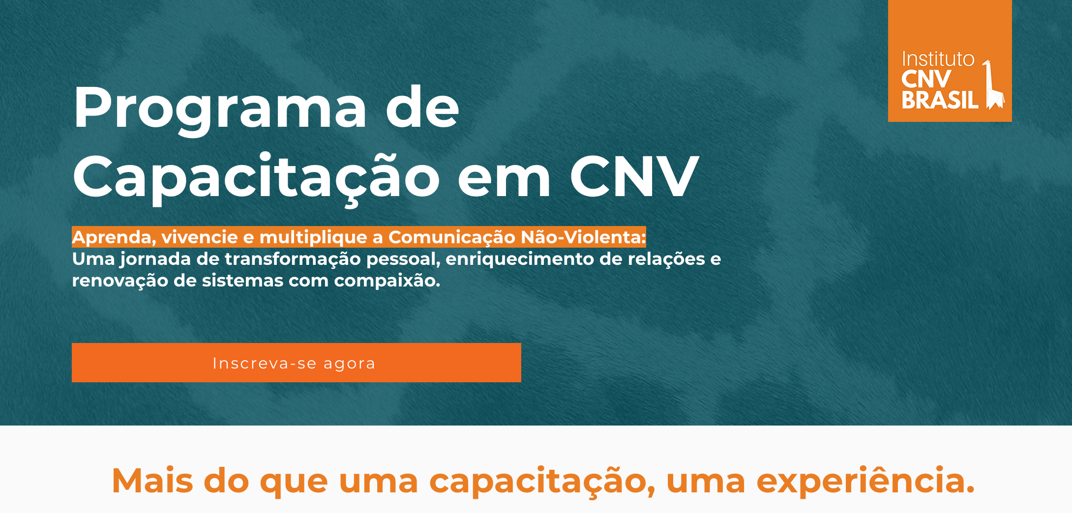 Chnv Program Start Programa CNV | icnvb