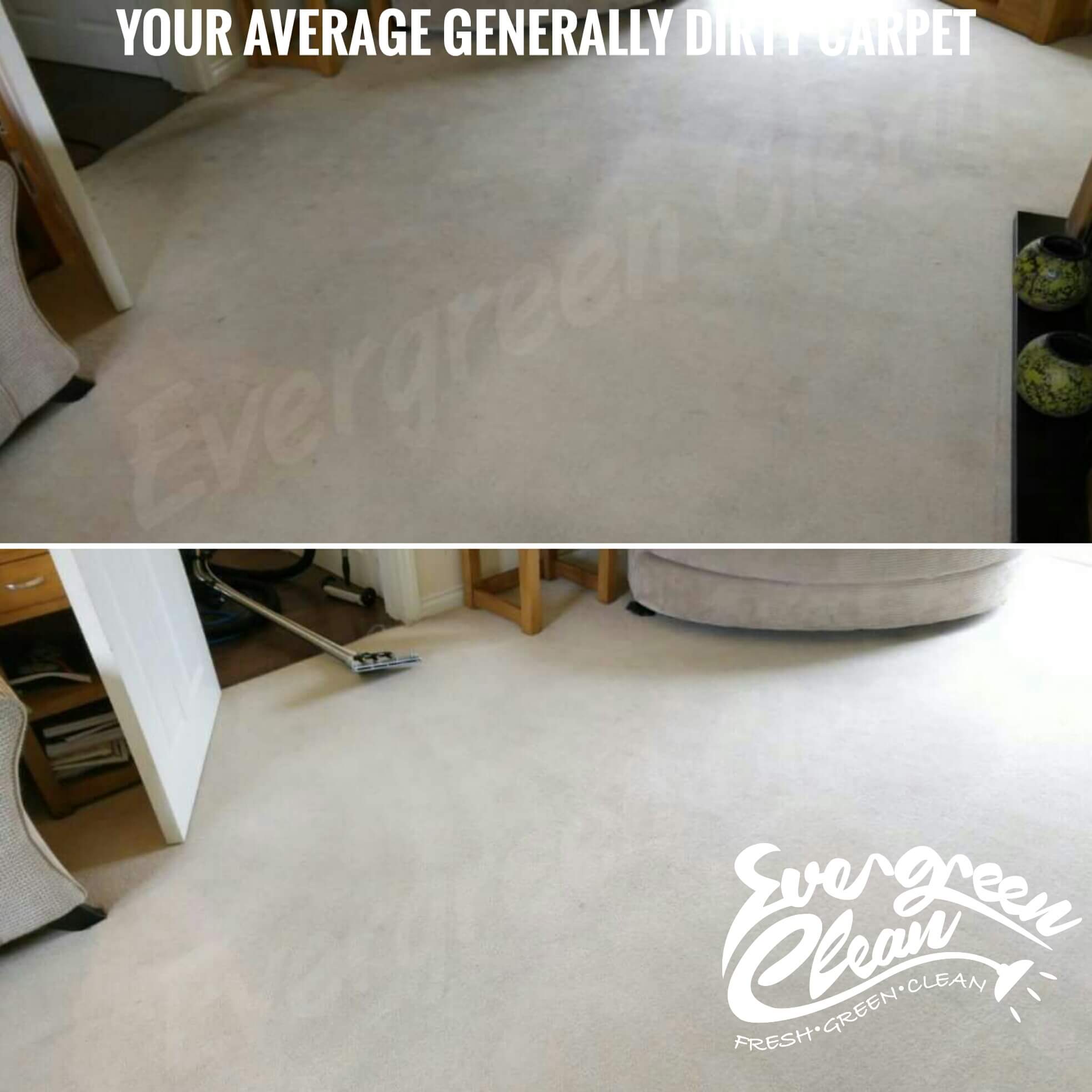 Gallery Evergreen Clean