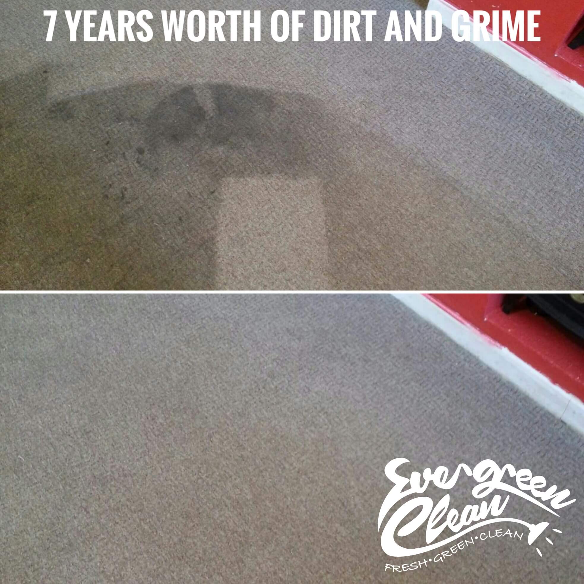 Gallery Evergreen Clean