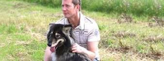 The Icing on the Cake - What Traditional Dog Training is Missing