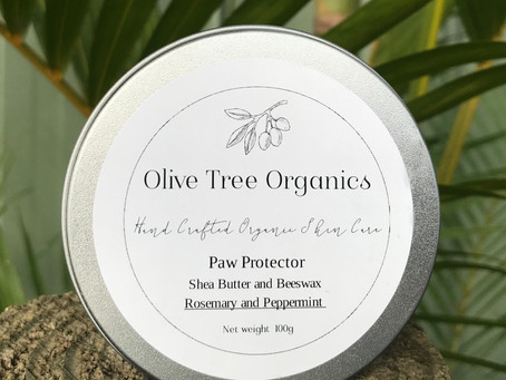 Protect your dogs Paws this Winter