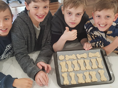 Youth supporting the homeless and their pets this winter