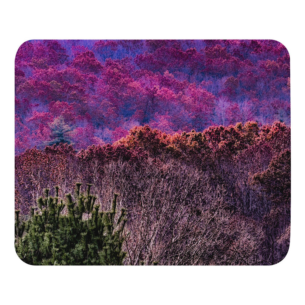 CDSlams360 Parrott Collection Fall Colors Mouse Pad #0867