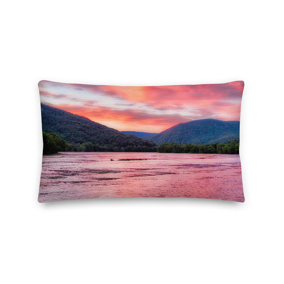 CDSlams360 Parrott Collection Late Summer Brilliance Premium Pillow #1480