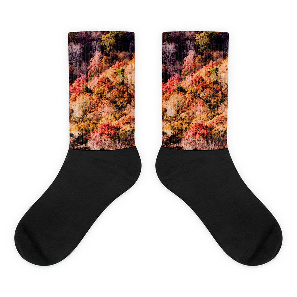 CDSlams360 Parrott Collection Fall River Scene Socks #0042