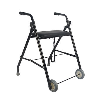 déambulateur 2 roues