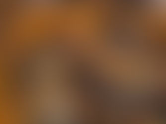 The Secrets Behind Authentic Wood-Fired Pizza: Why It Tastes Better